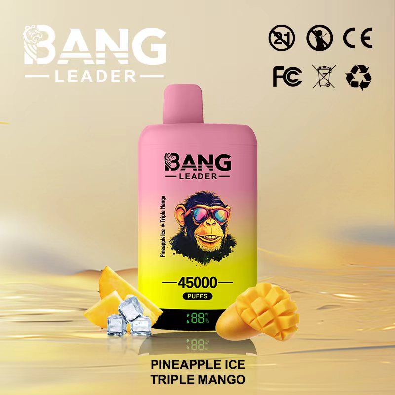 Bang 45000 45k Puffs Disposable Vape 0% 2% 3% 5% Nicotine 12Tastes LED Display Rechargeable Factory Direct