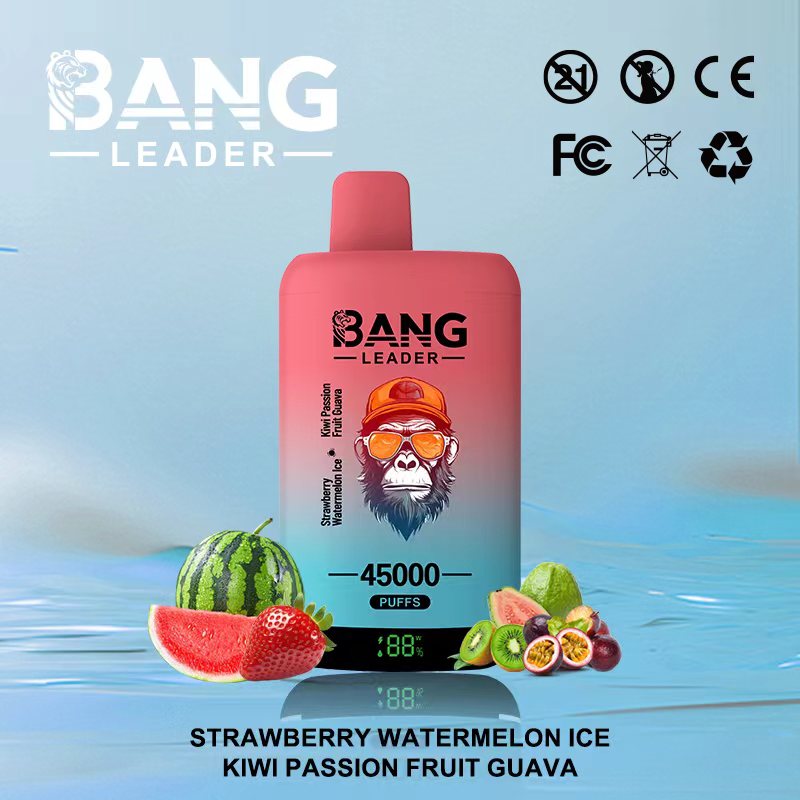 Bang 45000 45k Puffs Disposable Vape 0% 2% 3% 5% Nicotine 12Tastes LED Display Rechargeable Factory Direct
