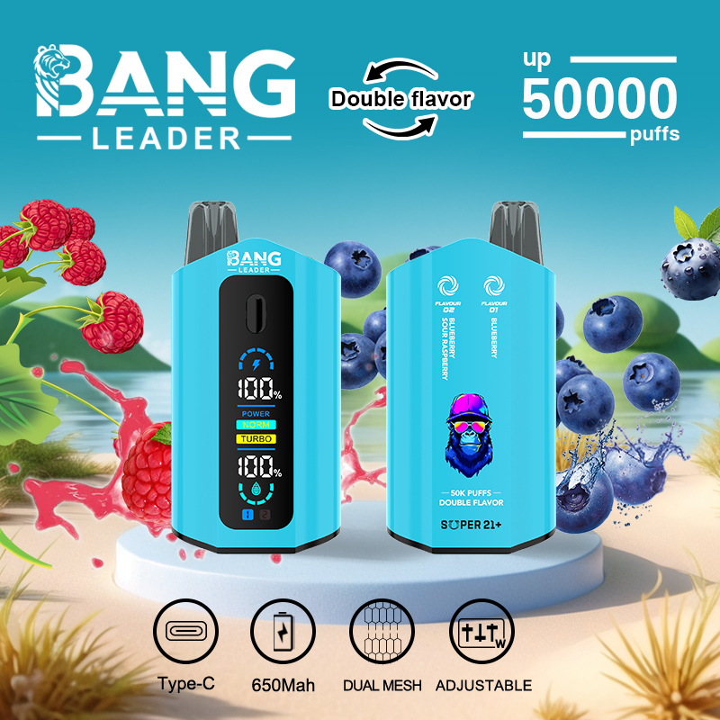 Bang Leader 50000 50K Puffs Dual Flavors Disposable Vape 0% 2% 3% 5% Nicotine 12Tastes with Display Screen Factory Direct