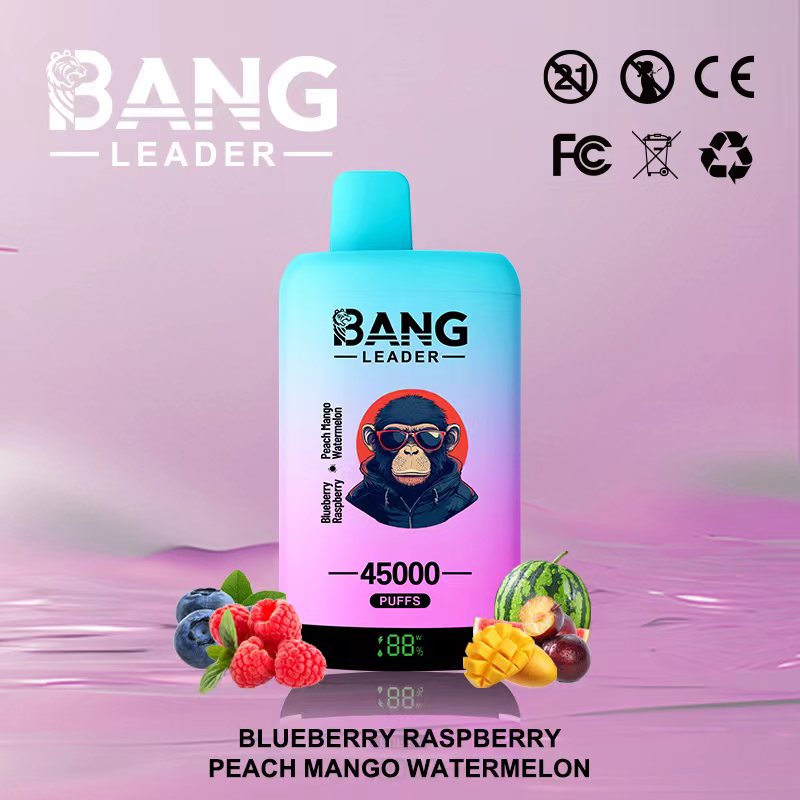 Bang Leader 45000 Puffs Dual Flavors Disposable Vape pen 0% 2% 3% 5% Nicotine 12Tastes LED Display Factory Direct