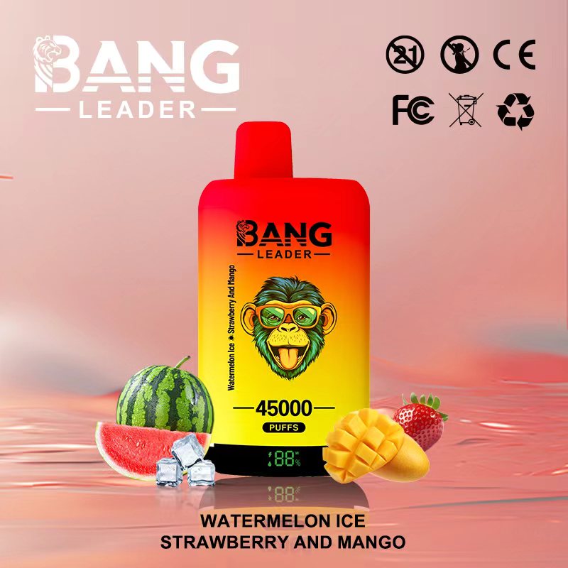 Bang Leader 45000 Puffs Dual Flavors Disposable Vape pen 0% 2% 3% 5% Nicotine 12Tastes LED Display Factory Direct